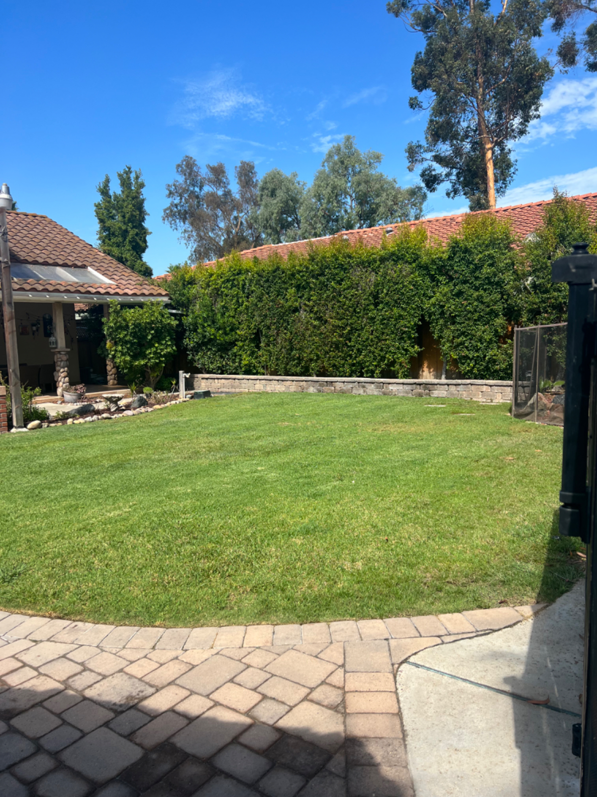 Suburban Retreat - Photo 4