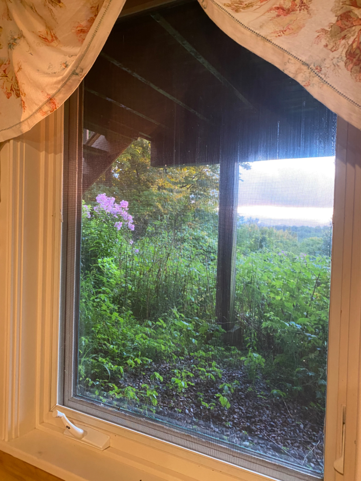 Peaceful Apartment in the Country - Photo 7