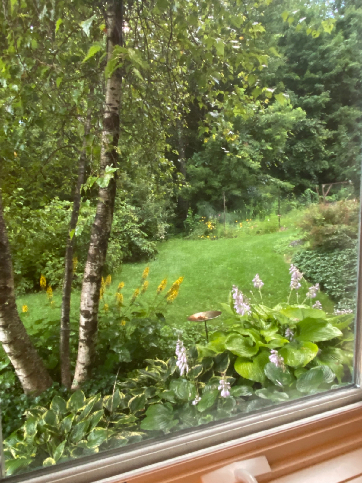 Peaceful Apartment in the Country - Photo 2