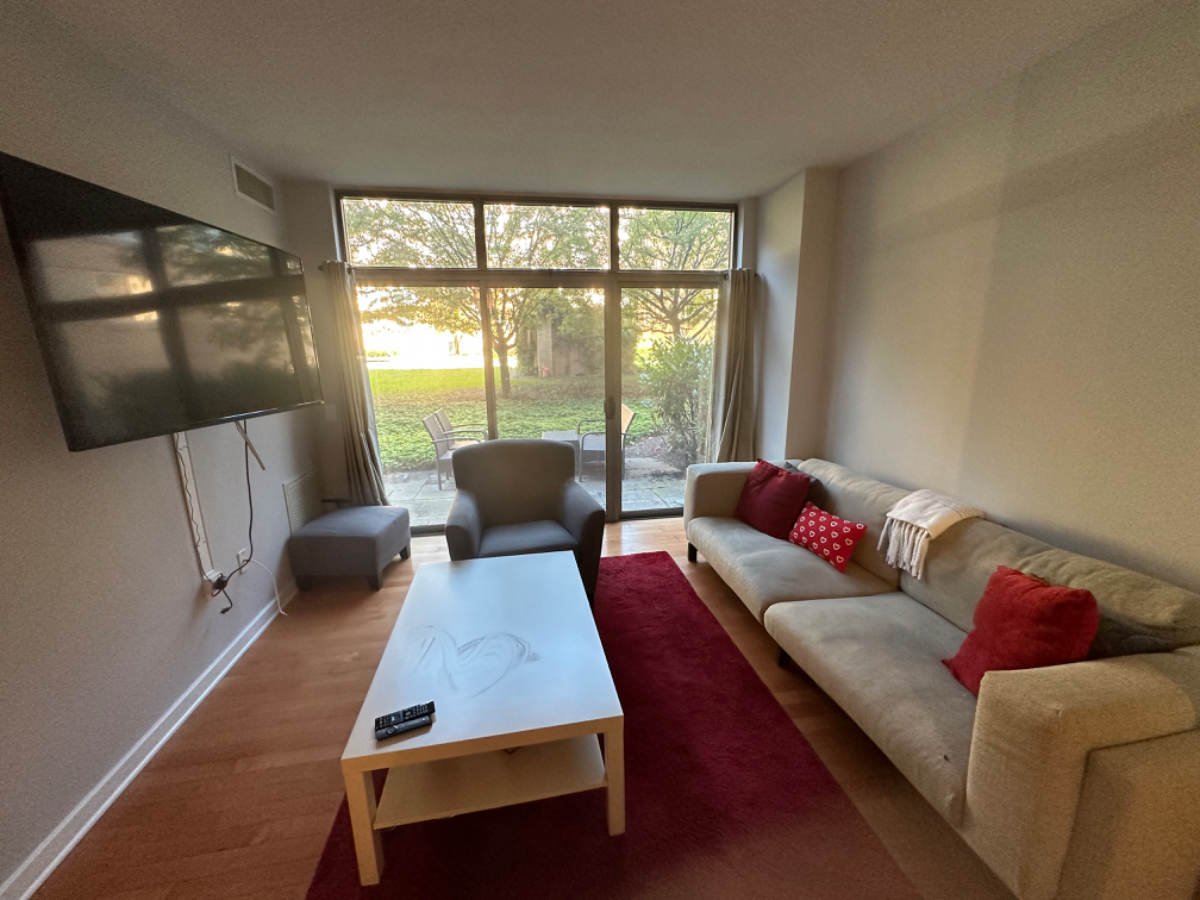 Stunning furnished 1BR with outdoor space - Photo 1