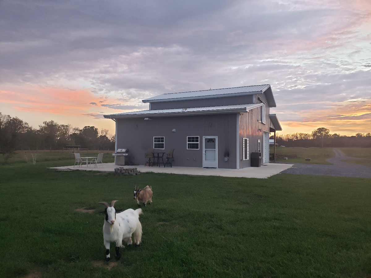 Opequon Barndominium - Photo 3