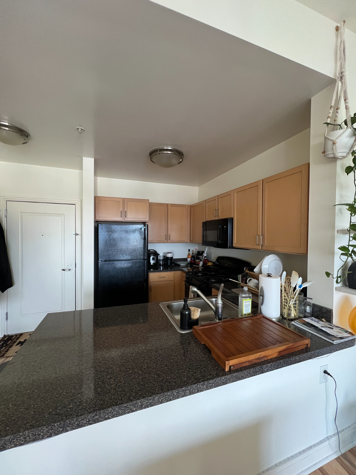 Luxury Wharf SW Condo - Photo 6