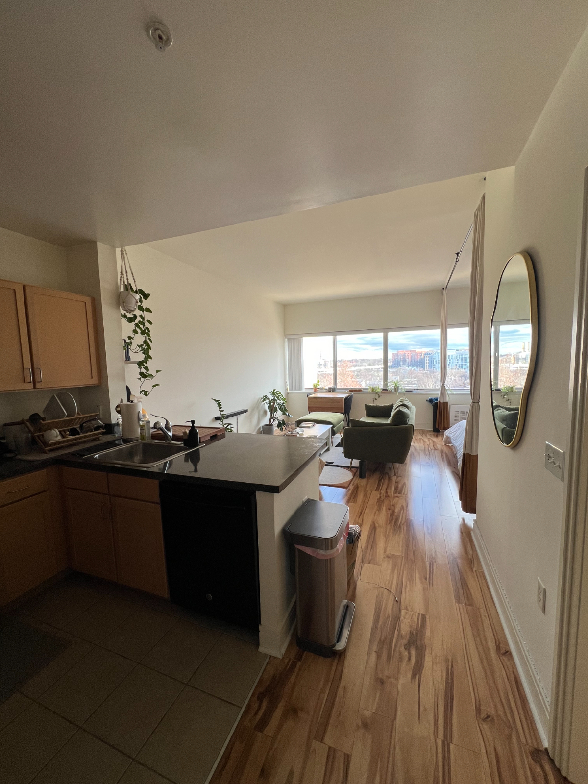 Luxury Wharf SW Condo - Photo 8