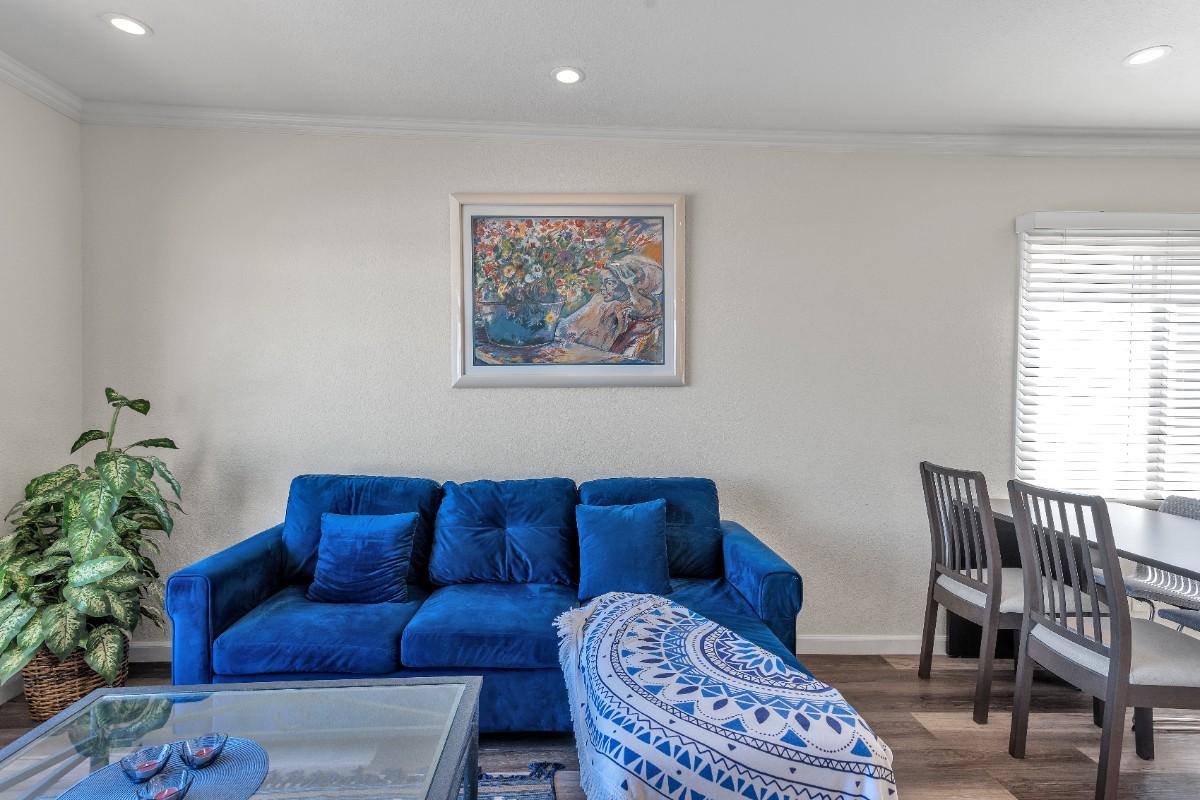 3BR House- Ocean & City Views, Minutes to Downtown - Photo 6