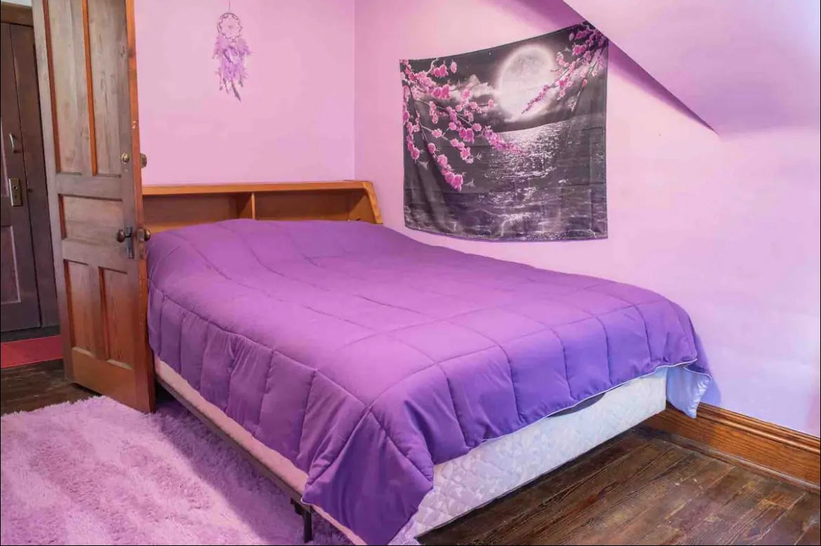Elmwood Village 2 Bedroom Attic Apartment - Photo 4