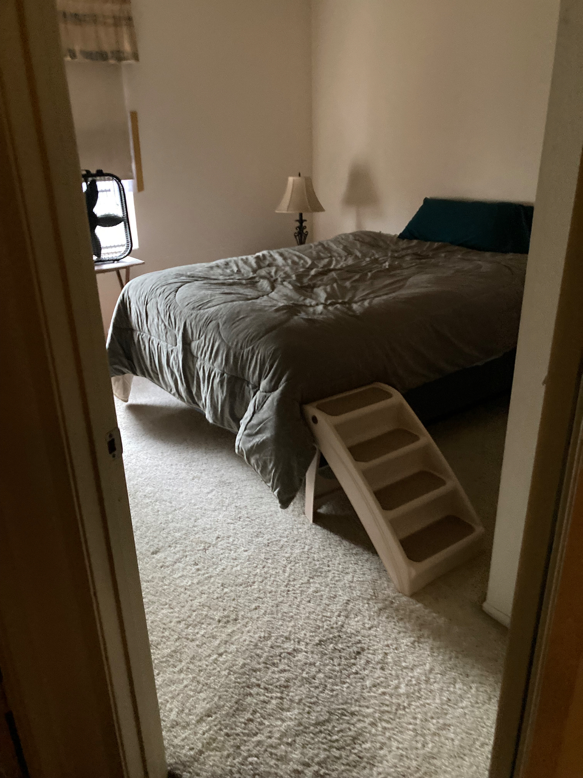Coral Cove - Photo 1