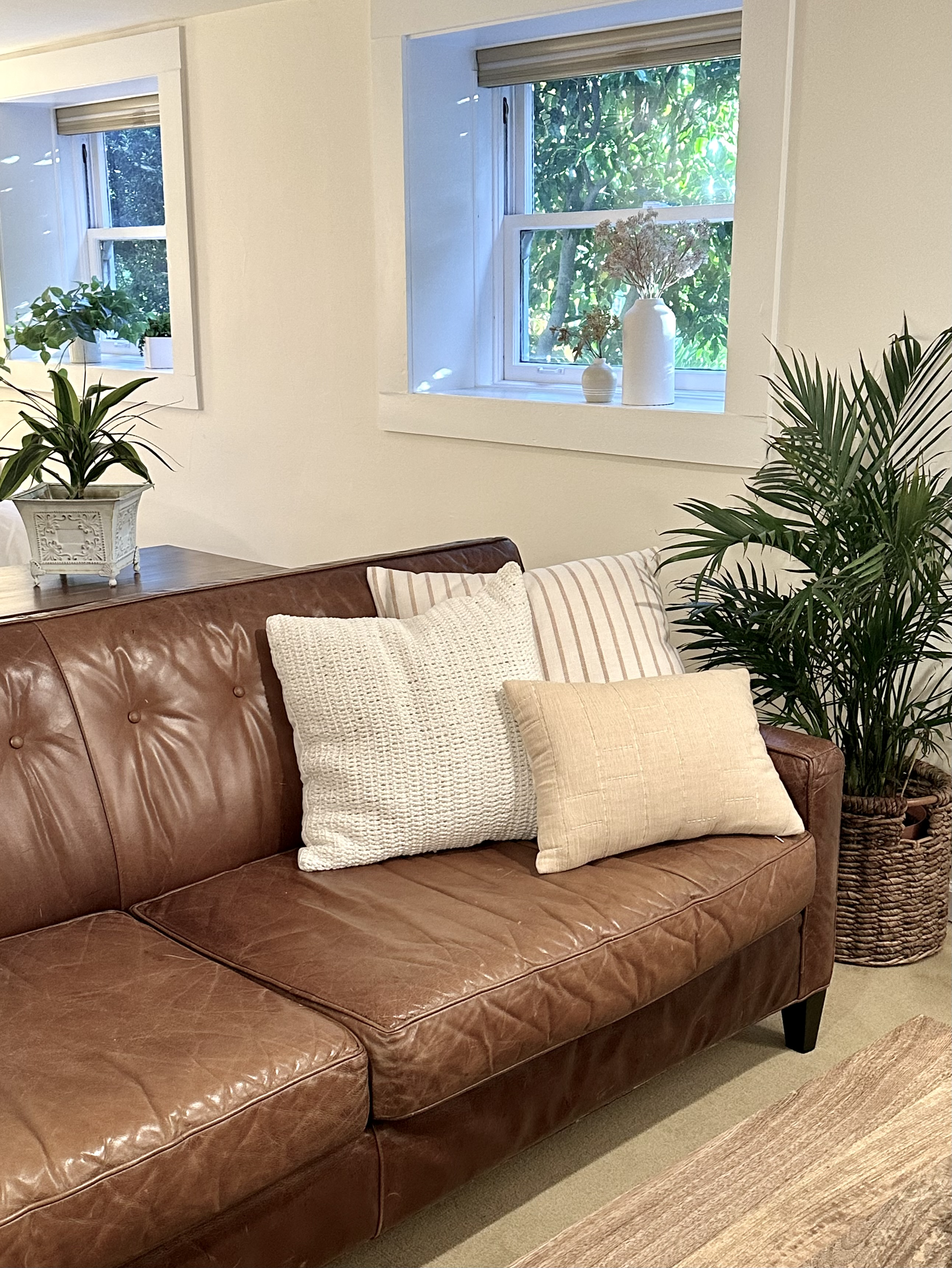 Charm and Convenience in Berkeley - Photo 3