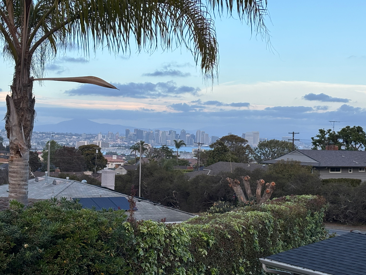 Detached private free standing unit in Point Loma w/ views to Down Town San Diego - Photo 2