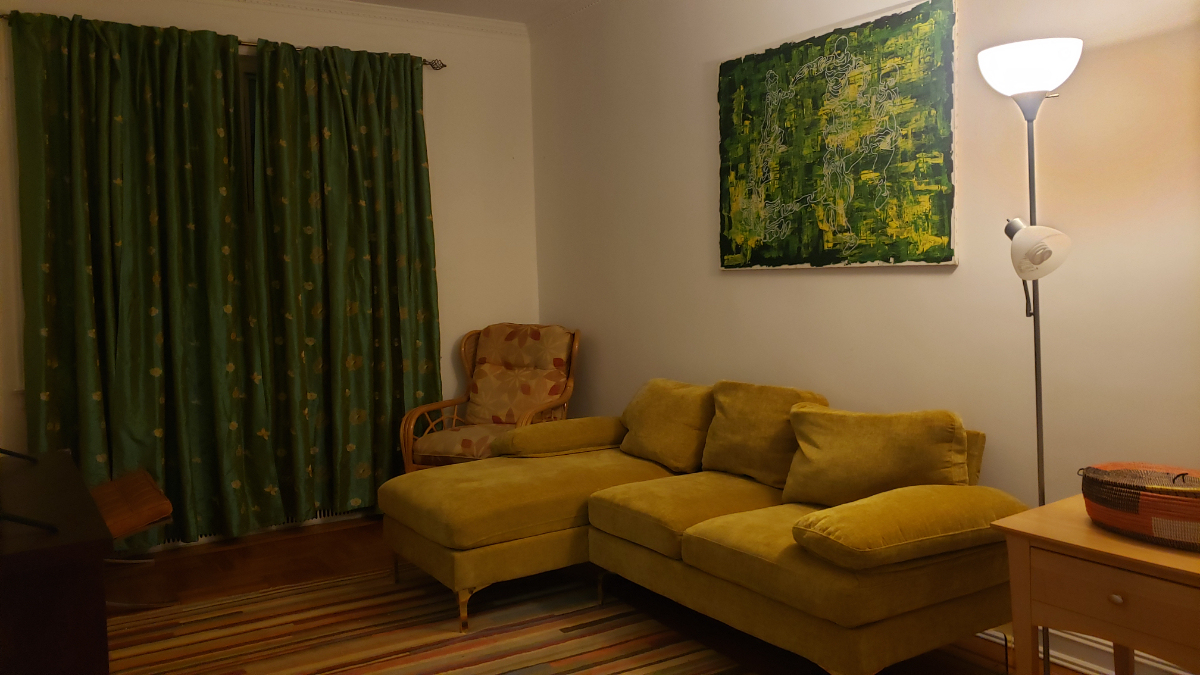 One Bedroom Apt - Photo 7