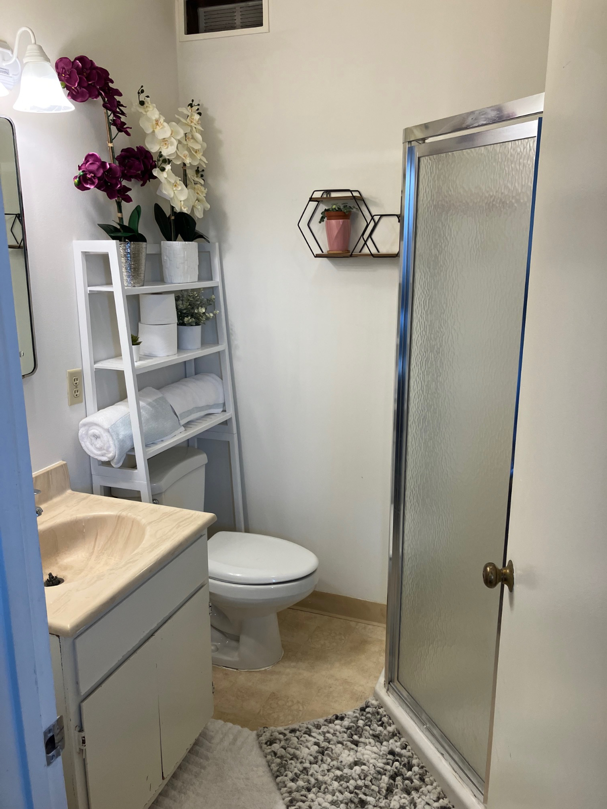 Garden Studio with a view, natural light, with parking, close to transportation in SF - Photo 6