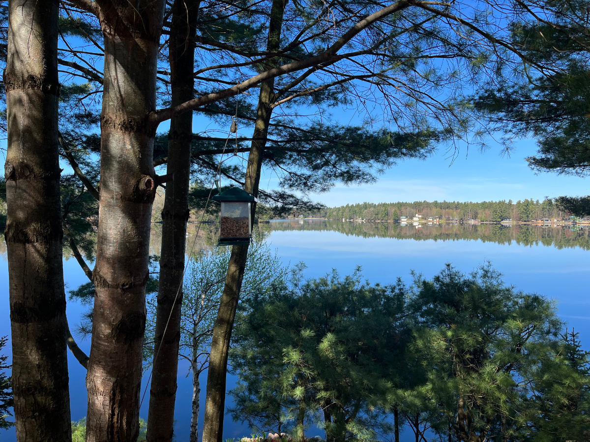 Cozy cottage on the water - Photo 10