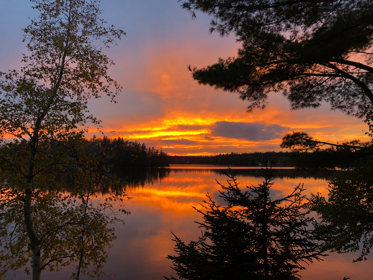 Cozy cottage on the water - Photo 11