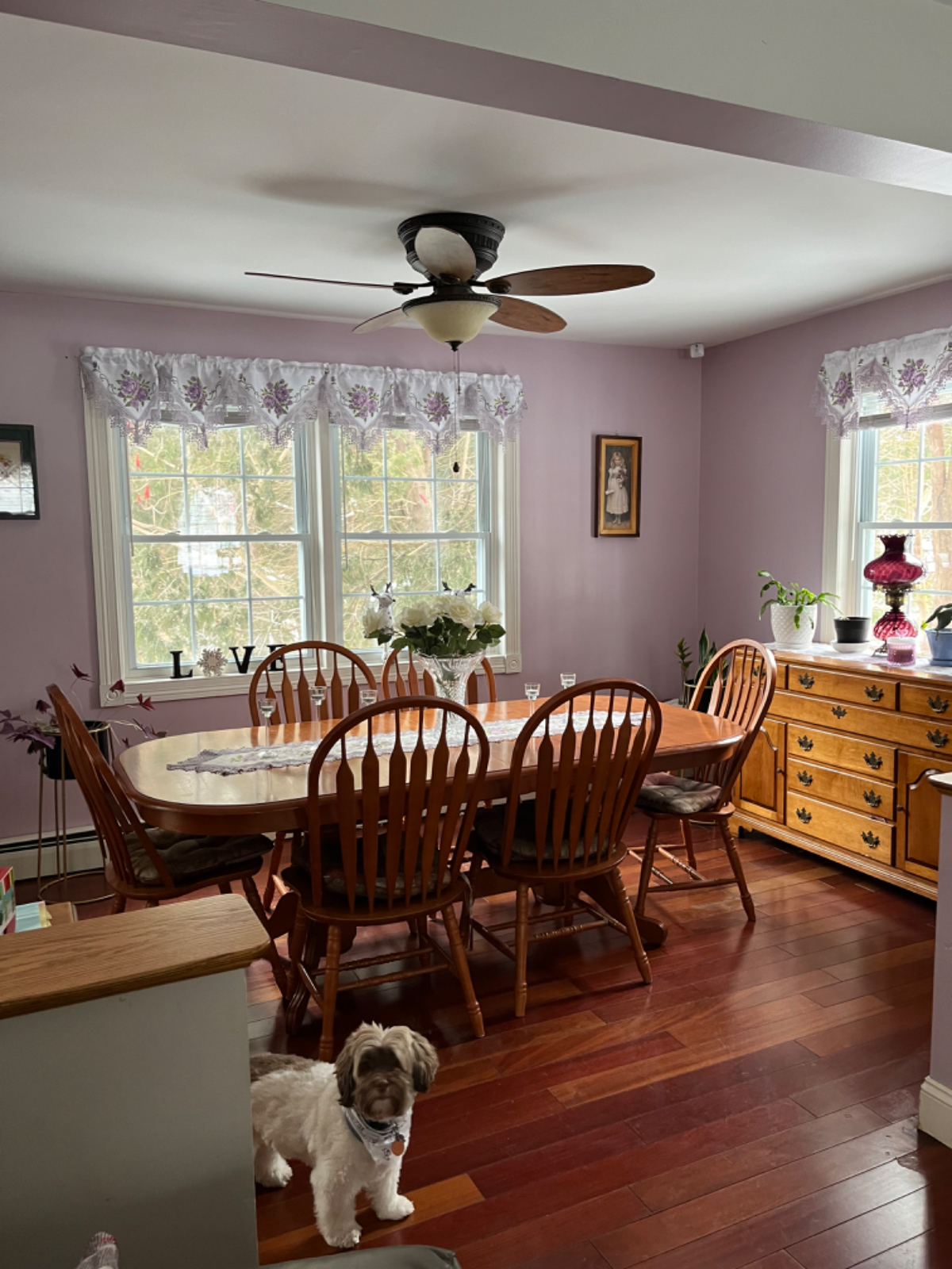 Room for rent with fenced in backyard for your pet - Photo 7