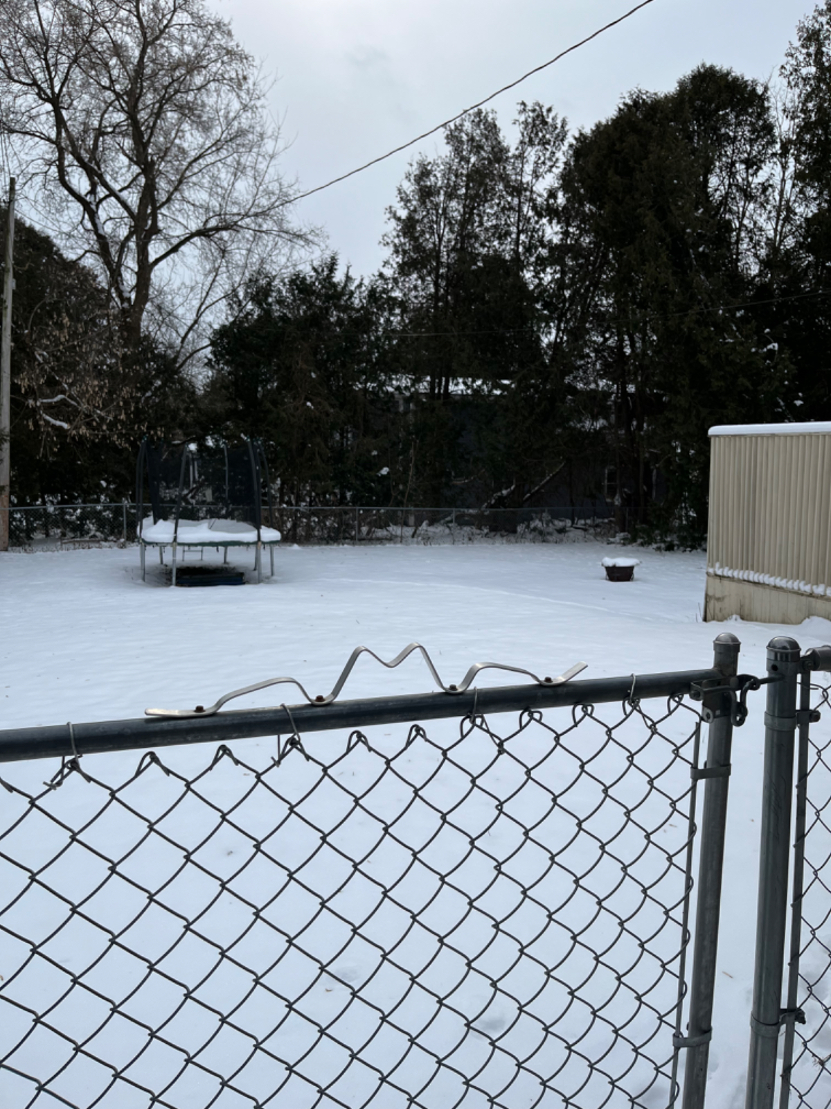 Room for rent with fenced in backyard for your pet - Photo 8