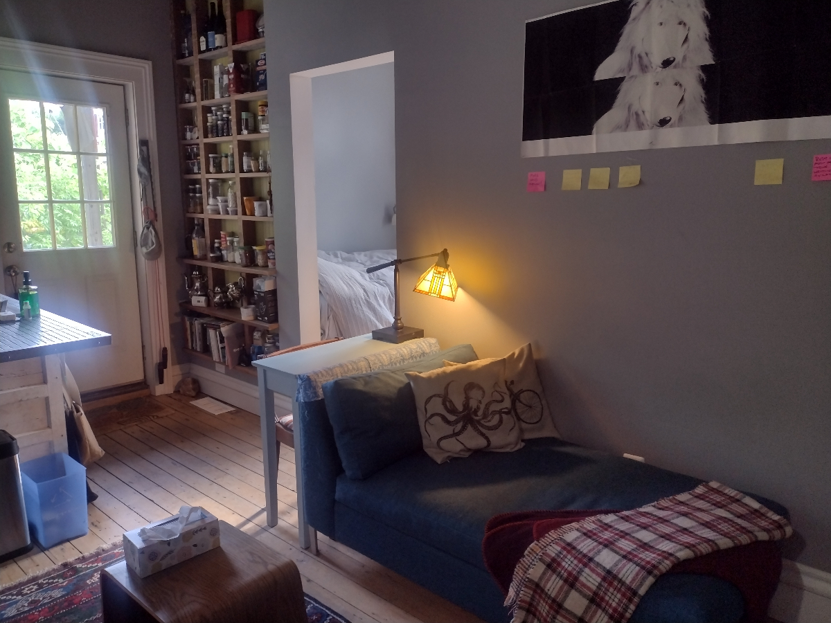 Cozy, bright 1 BR apt, best of country living steps from downtown Troy - Photo 1
