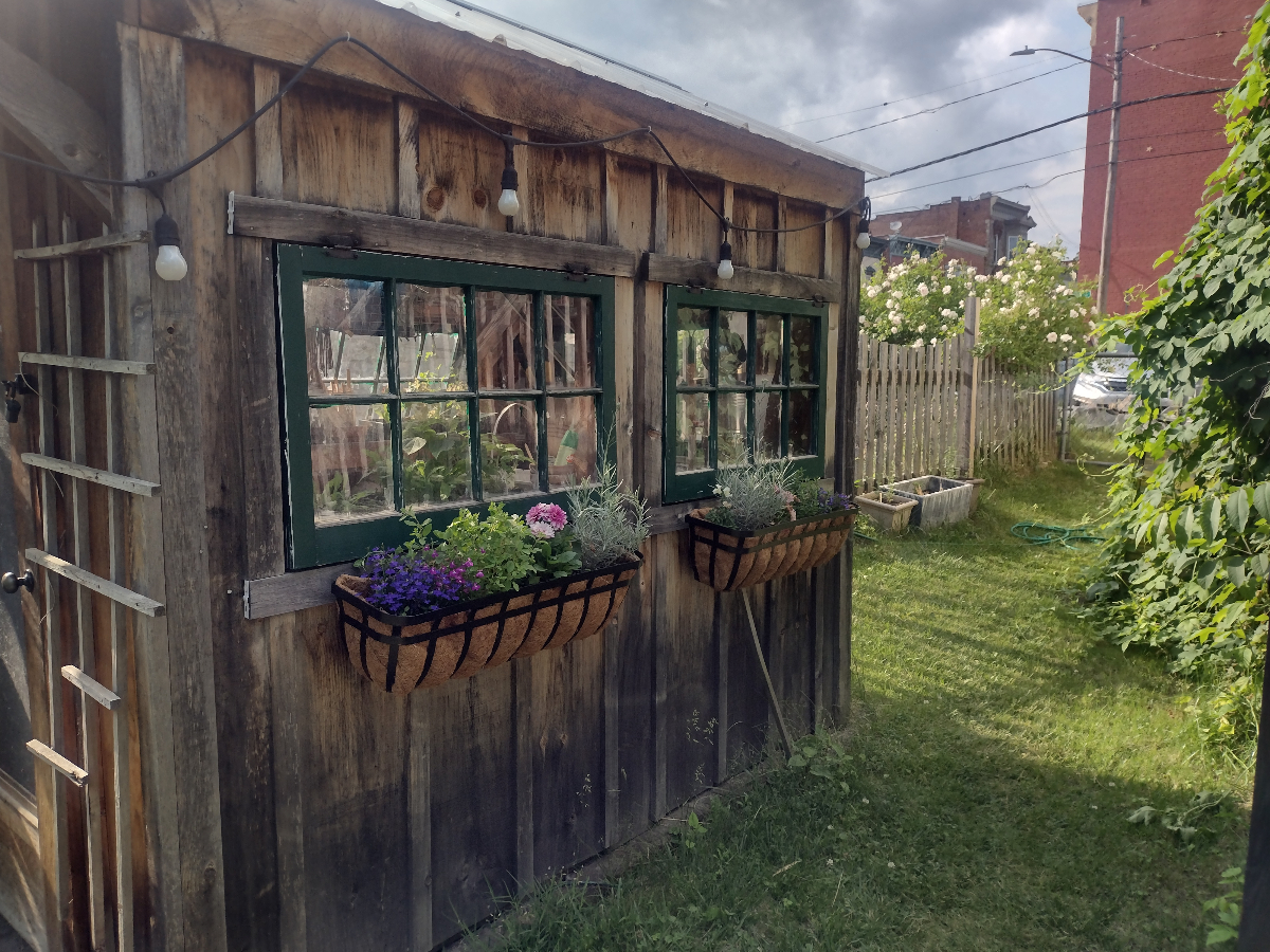 Cozy, bright 1 BR apt, best of country living steps from downtown Troy - Photo 12