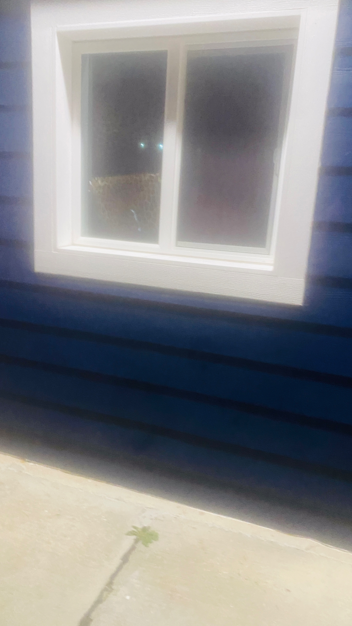 Small Cute, Quiet, Very Clean and Cozy Blue Loft - Photo 6