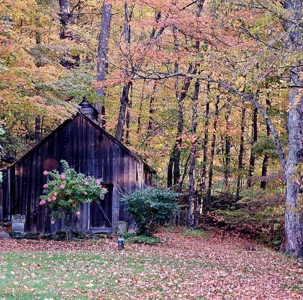 Fall Foliage Scenic Country Setting - Photo 12