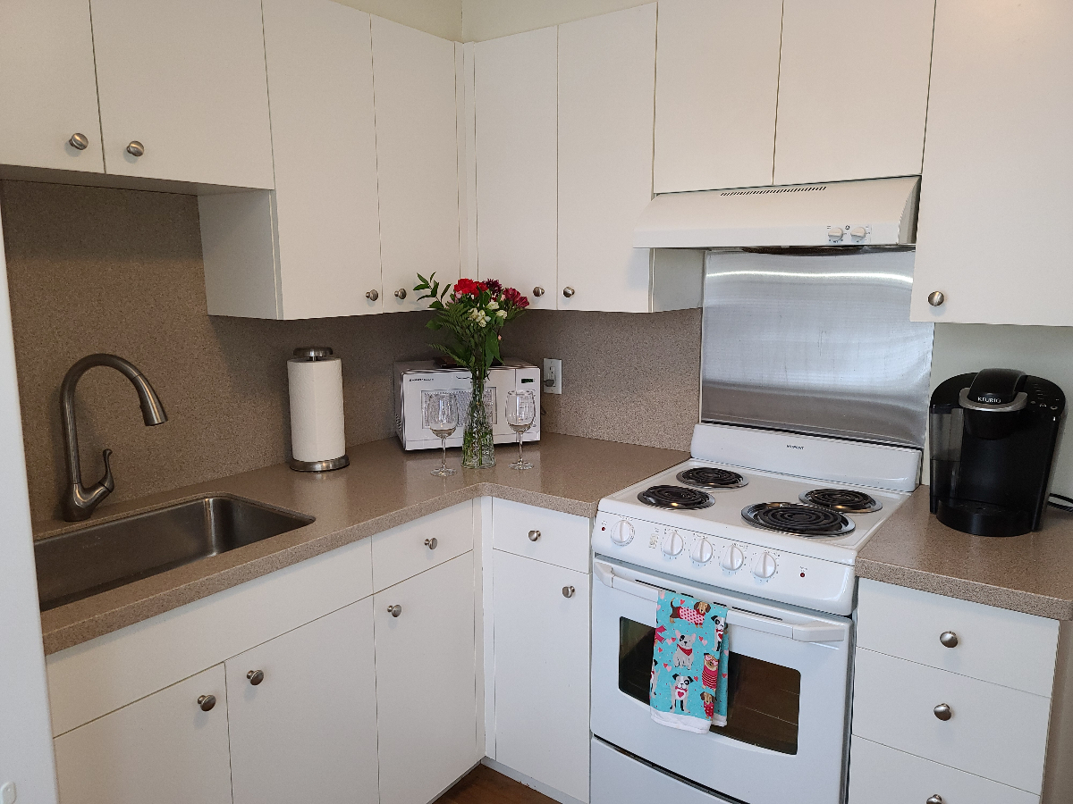 Full, Private, 1 Bed/1 Bath Mt Kisco Village Apt - Photo 8