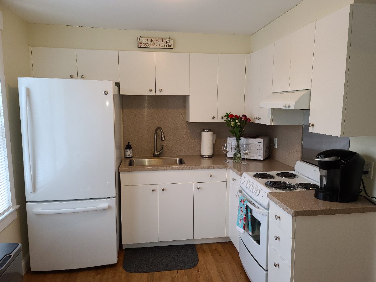 Full, Private, 1 Bed/1 Bath Mt Kisco Village Apt - Photo 9