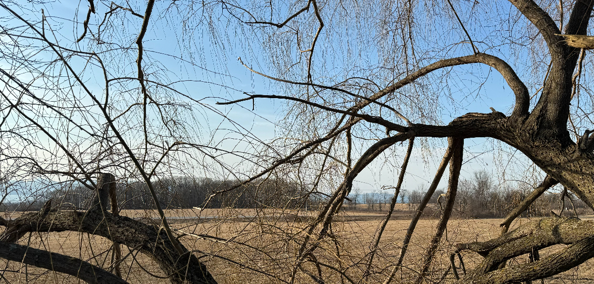Vista Nest - Photo 8