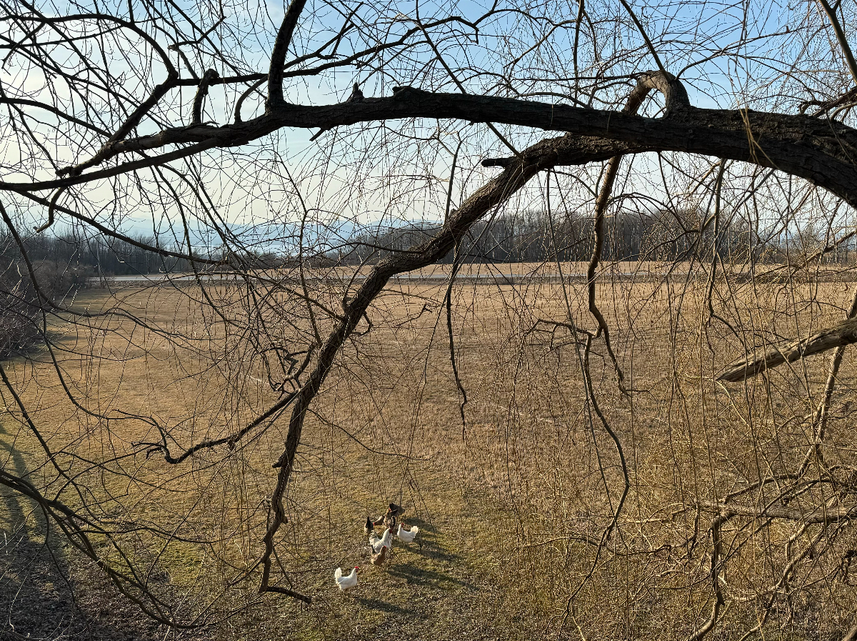Vista Nest - Photo 9