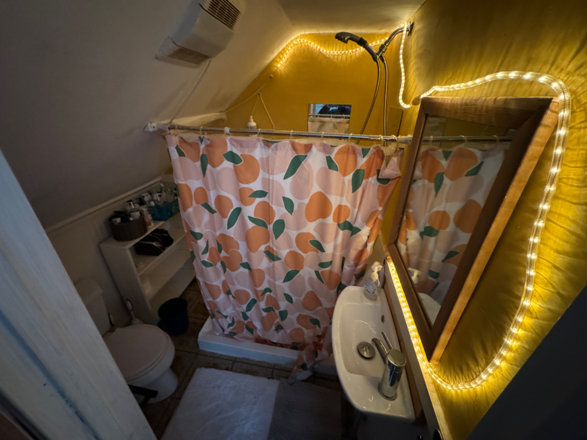 Vista Nest - Photo 11