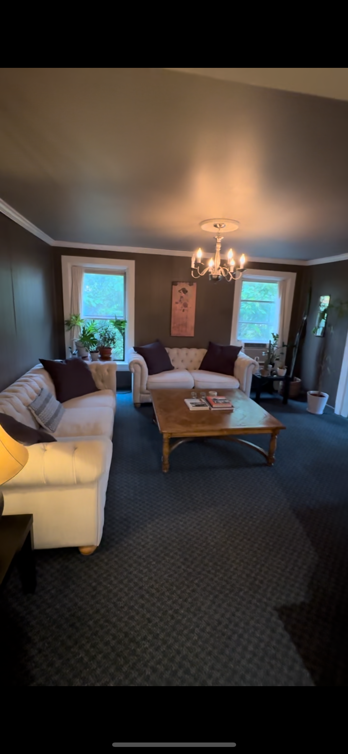 Spacious 1 Bedroom Apartment in Heart of Shelburne Village - Photo 2