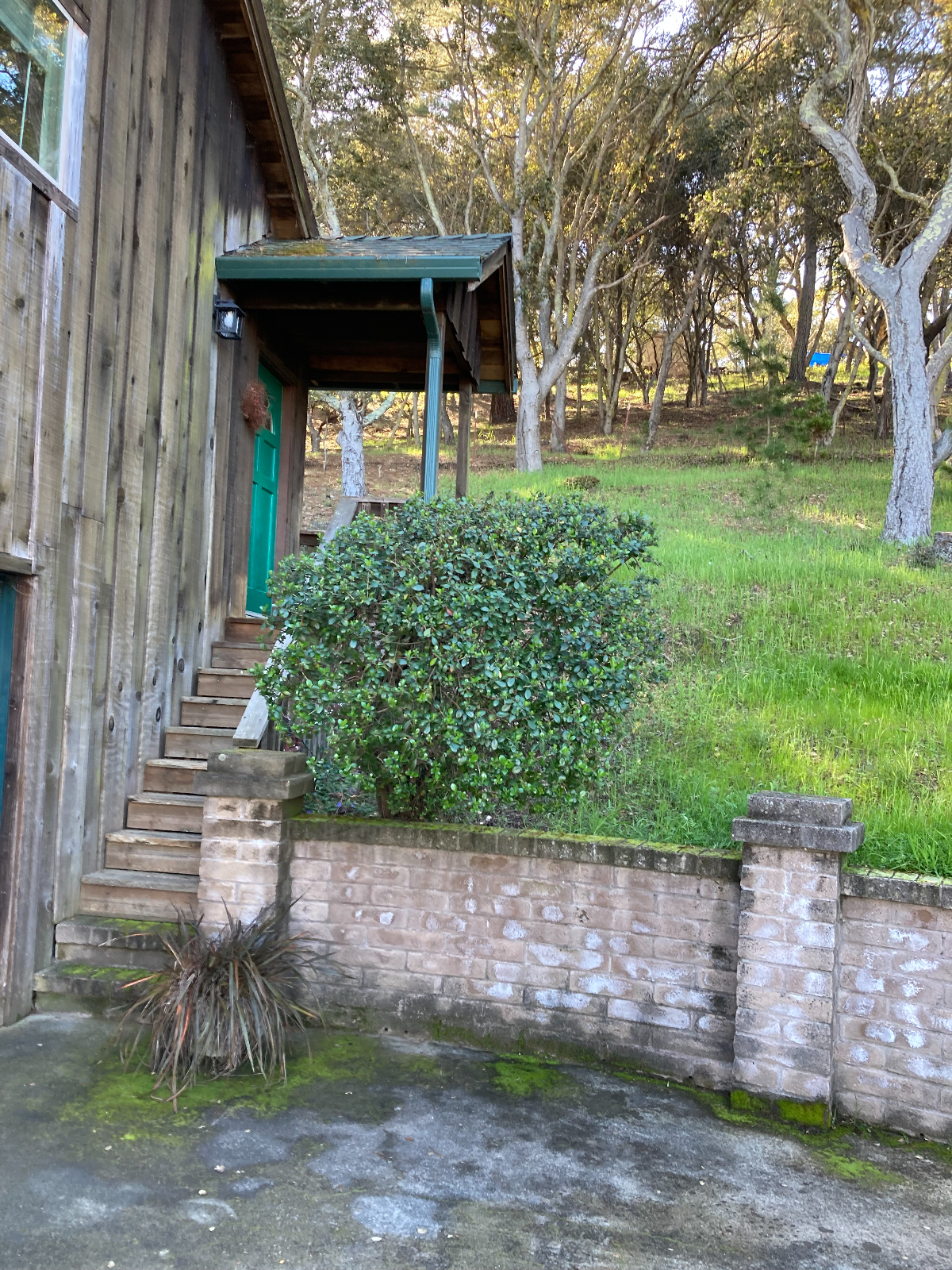 Corralitos Sanctuary - Photo 2