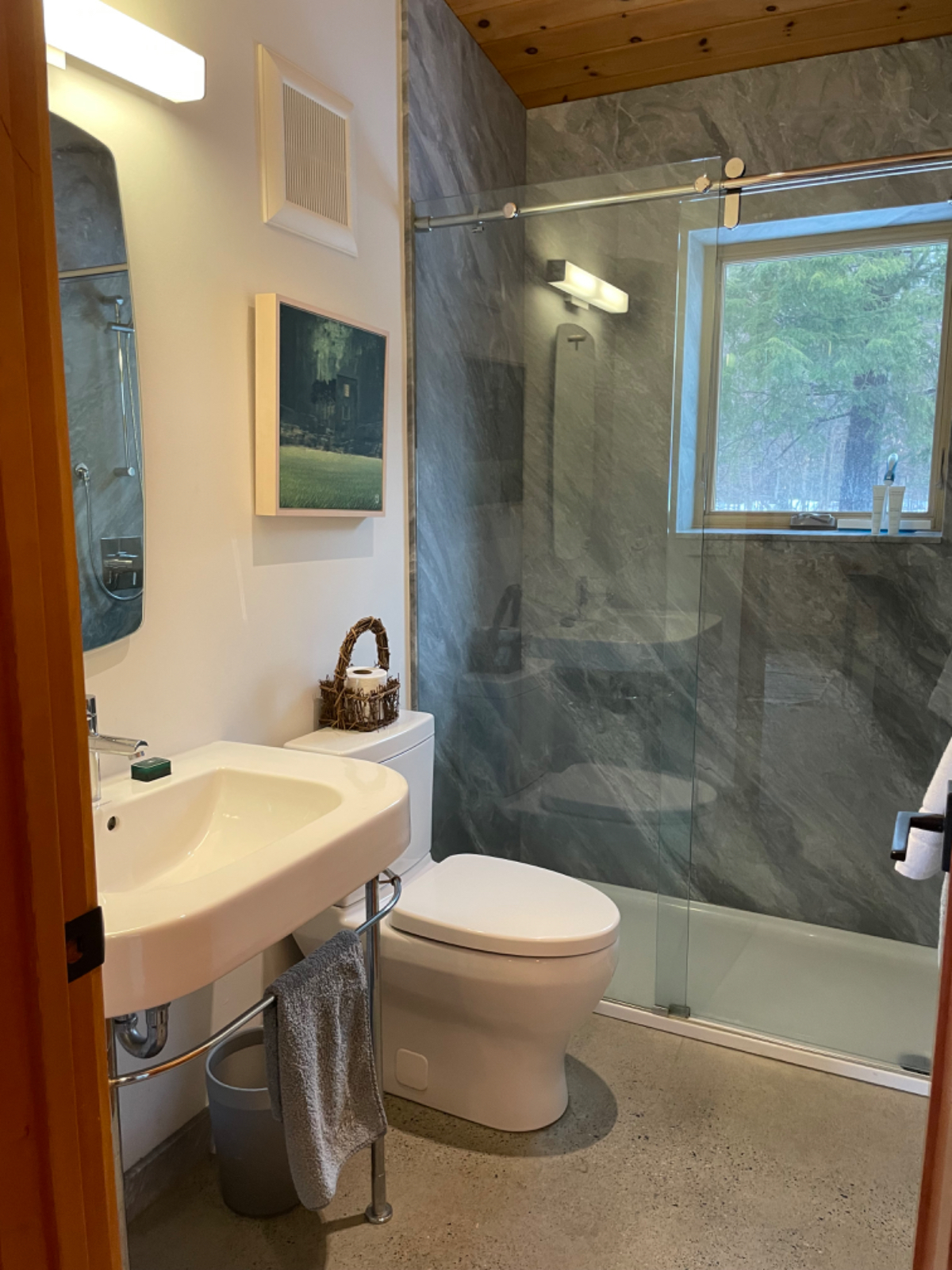 Beautiful 3 bedroom/2 bath modern cabin. Secluded yet close to town - Photo 9