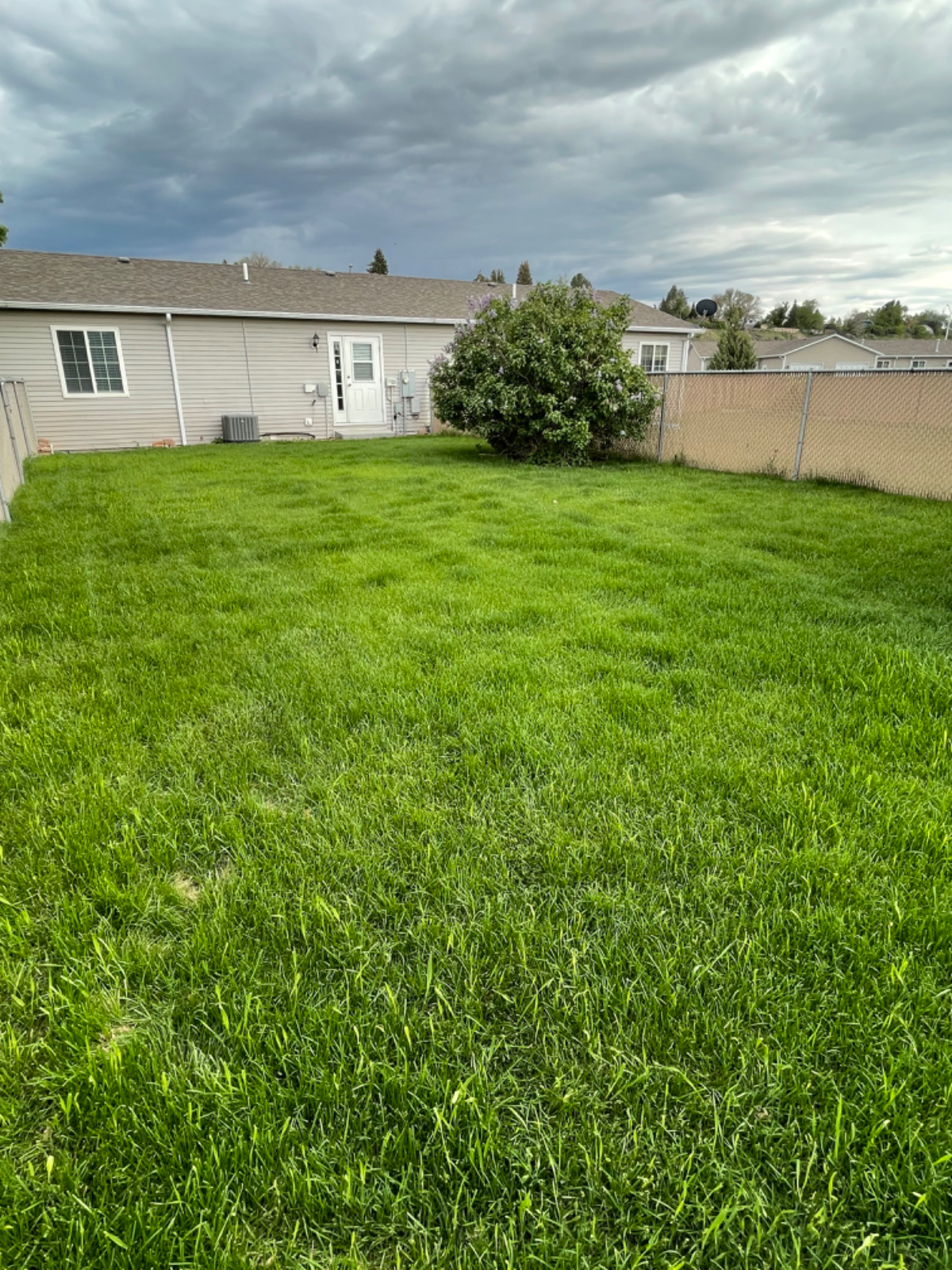 Quiet Townhome near Downtown, Hospital and Shoshone River access - Photo 2