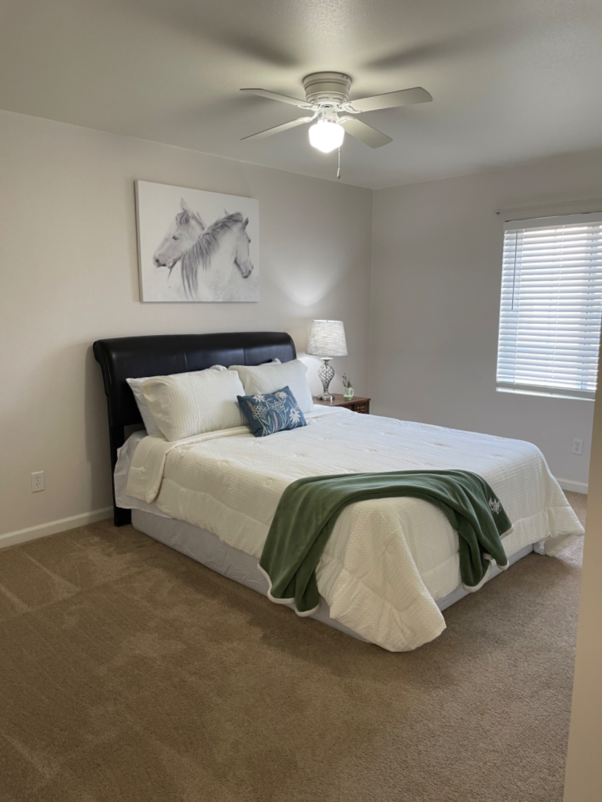 Quiet Townhome near Downtown, Hospital and Shoshone River access - Photo 6