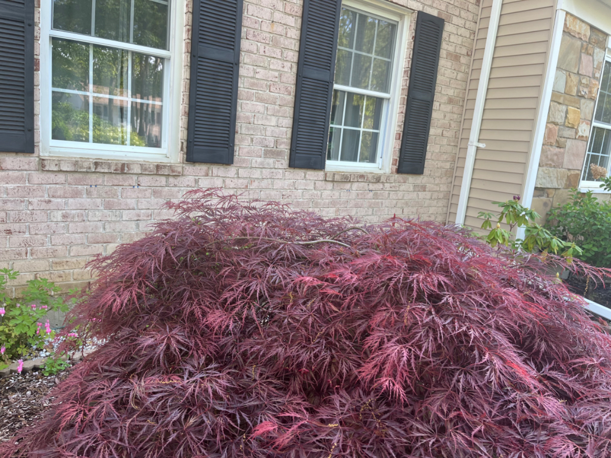 Quiet Townhouse near hospitals & Brookhaven national laboratory & close to major highway - Photo 5