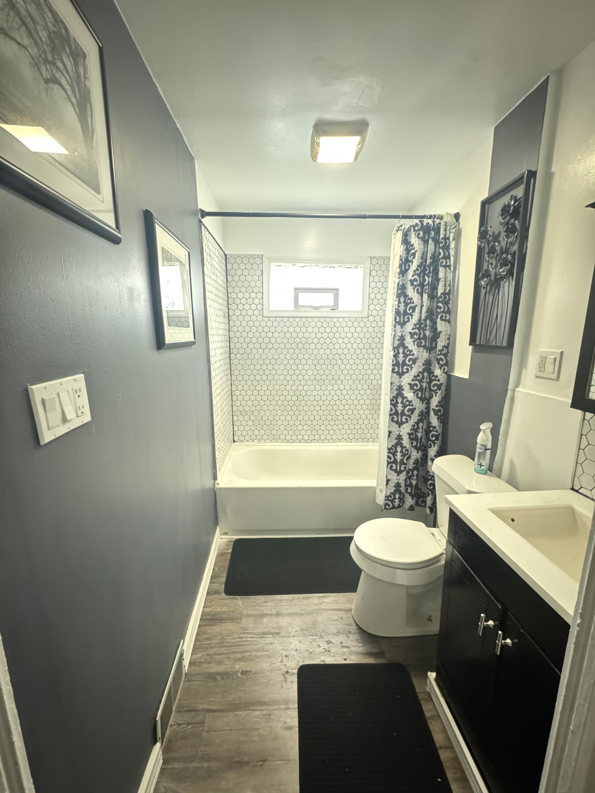 Quiet, cozy, studio for rent . Close to Strong Hospital,U/R,Downtown. 3 Buslines available. - Photo 4
