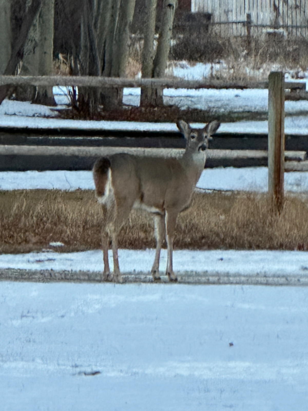 Quiet Home, Beautiful Teton Views - Photo 11