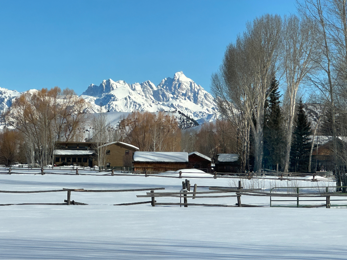 Quiet Home, Beautiful Teton Views - Photo 10