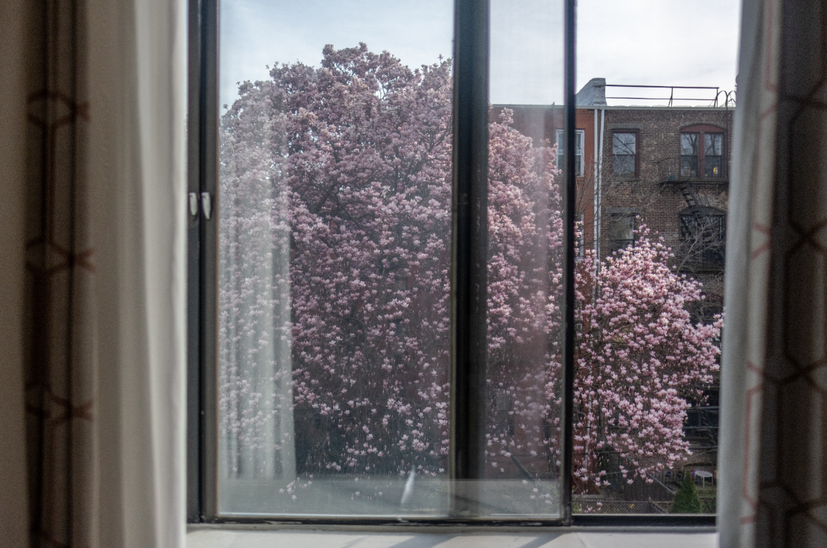 Stunning 2 Bedroom Apartment in Brooklyn - Comfortable Living, Modern Amenities, and a Great Neighbo - Photo 7