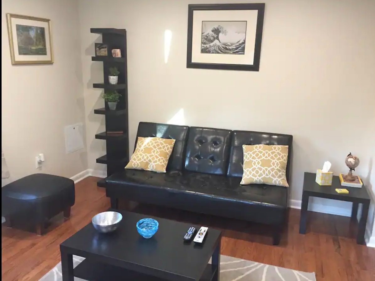 Capitol Hill East Flat, Steps to Metro and 2 Minutes from Expressway - Photo 7