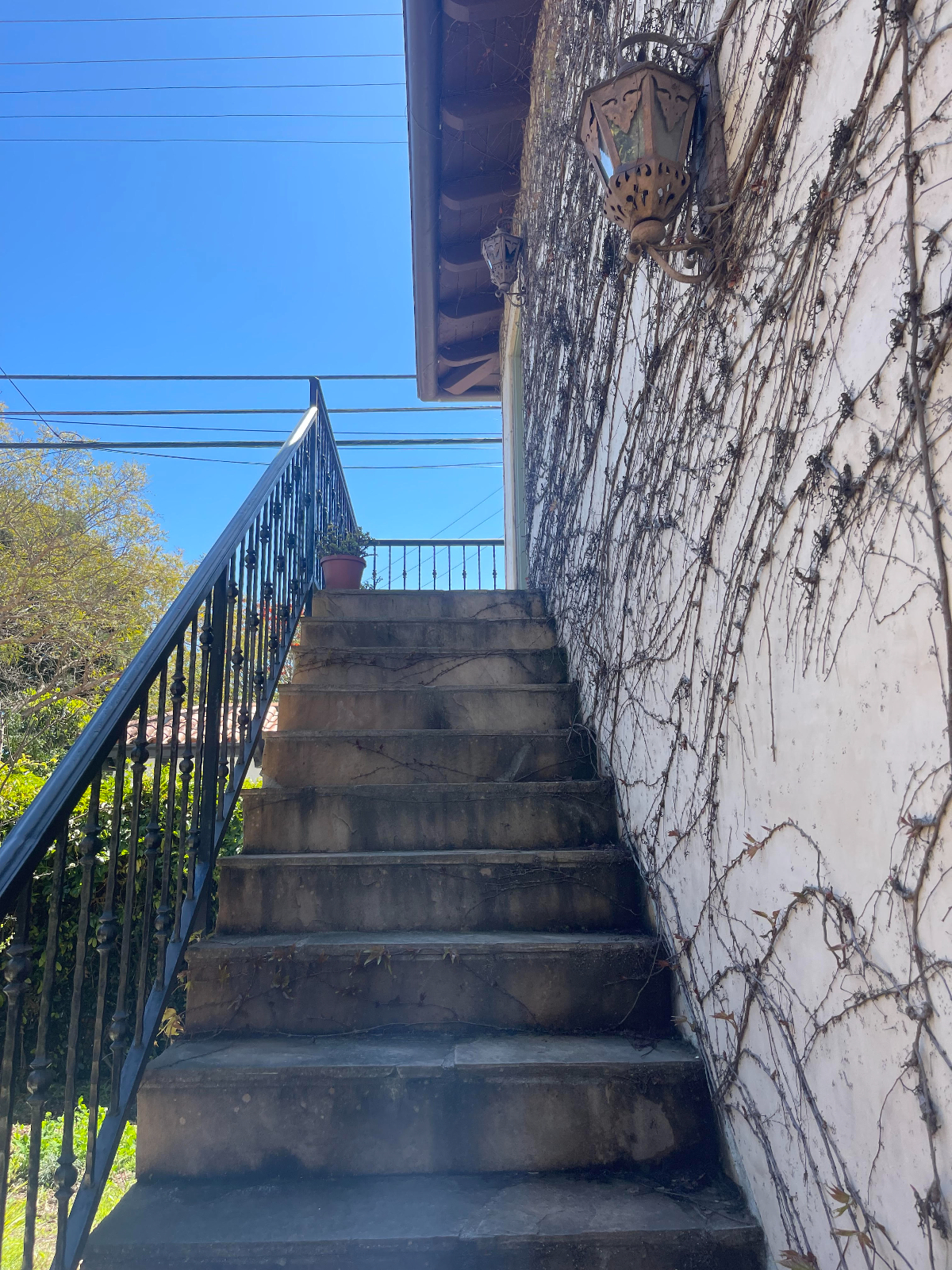 Hidden Gem ADU in Brentwood, Stylish, Private, and Move-In Ready - Photo 2