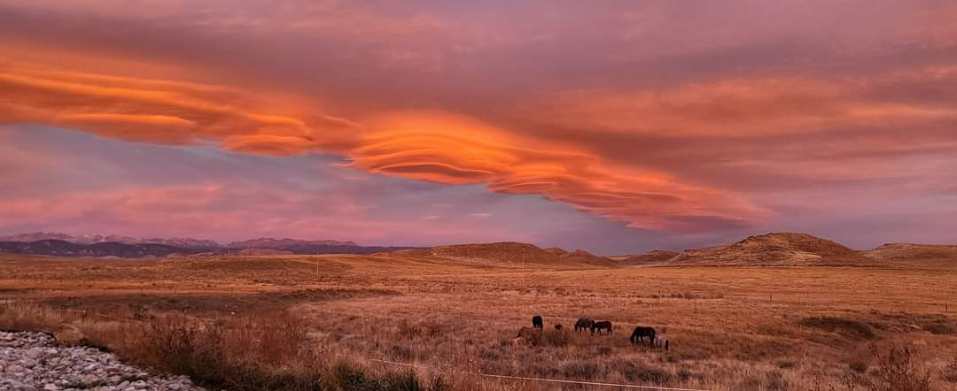 Bring your Horse - Photo 8