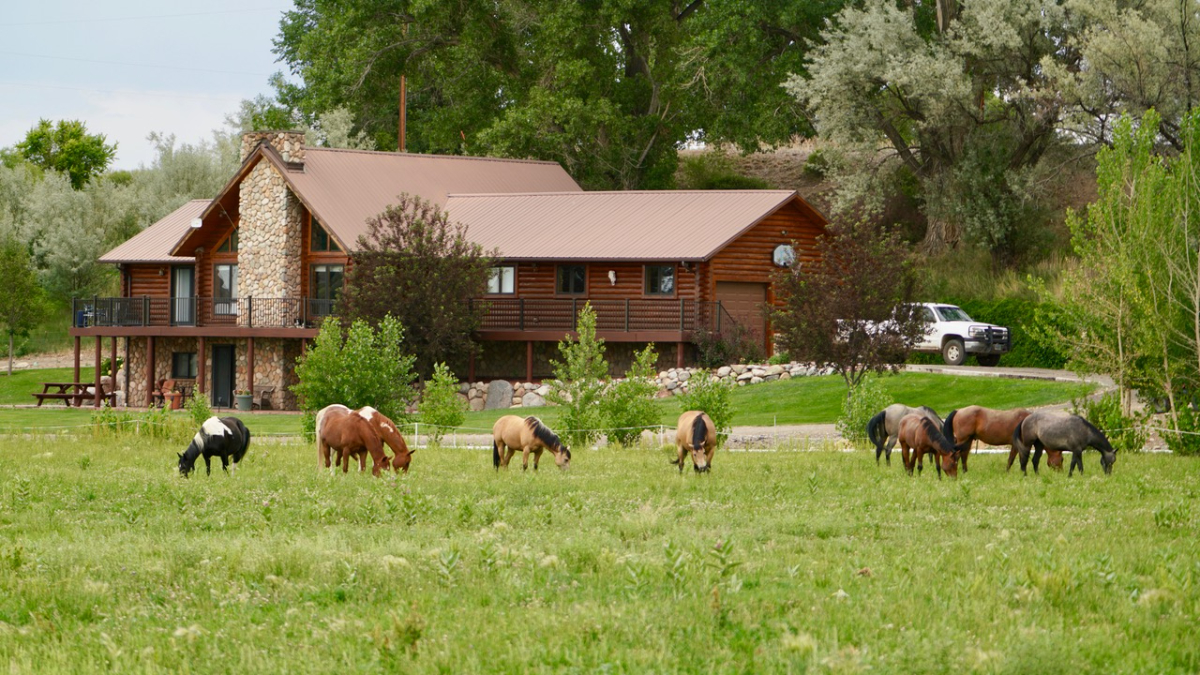 Log home in the country - Photo 2