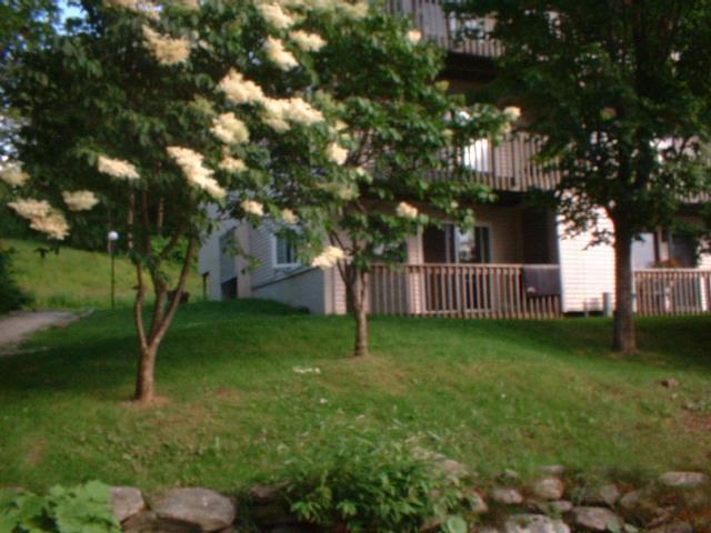 Amazing  New 1 Bedroom Condo, Bolton VT - Photo 8
