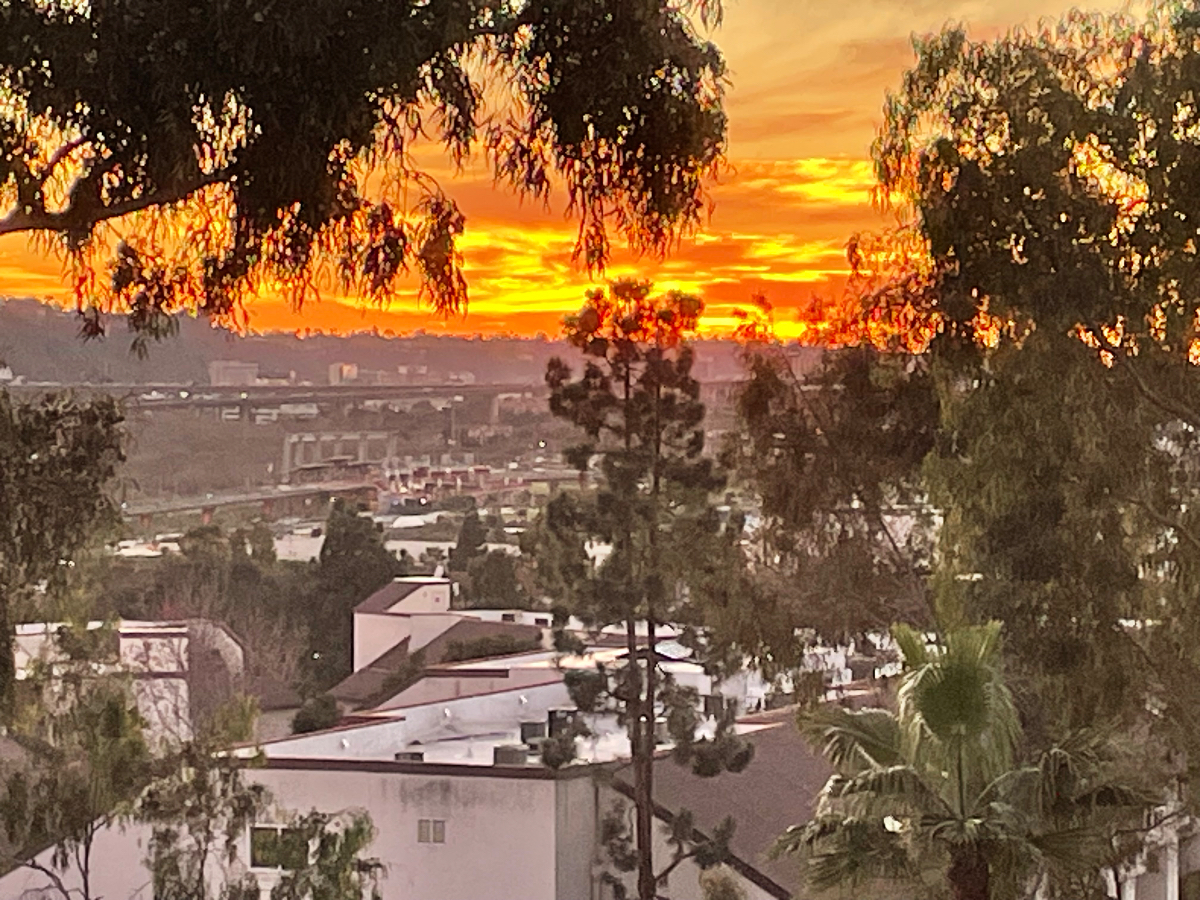 Mission Valley Beauty - Photo 2