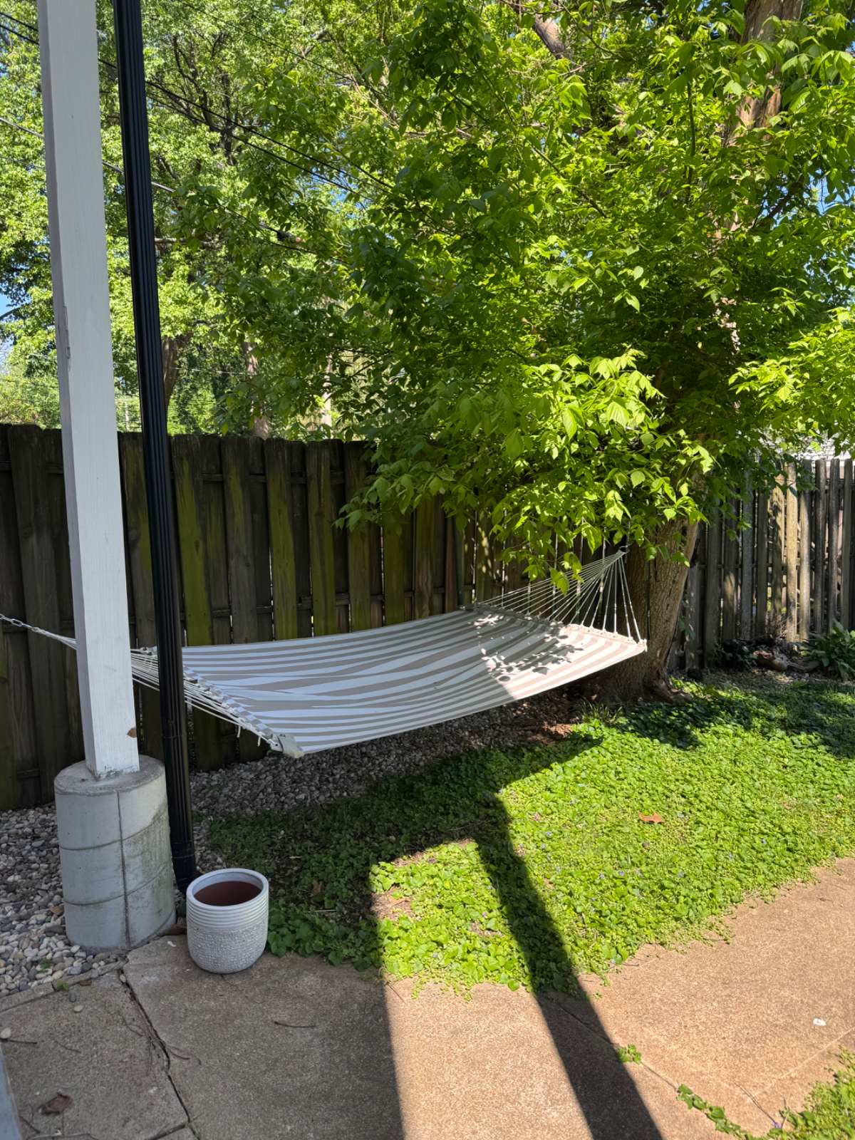 Tower Grove. Entire unit. - Photo 12
