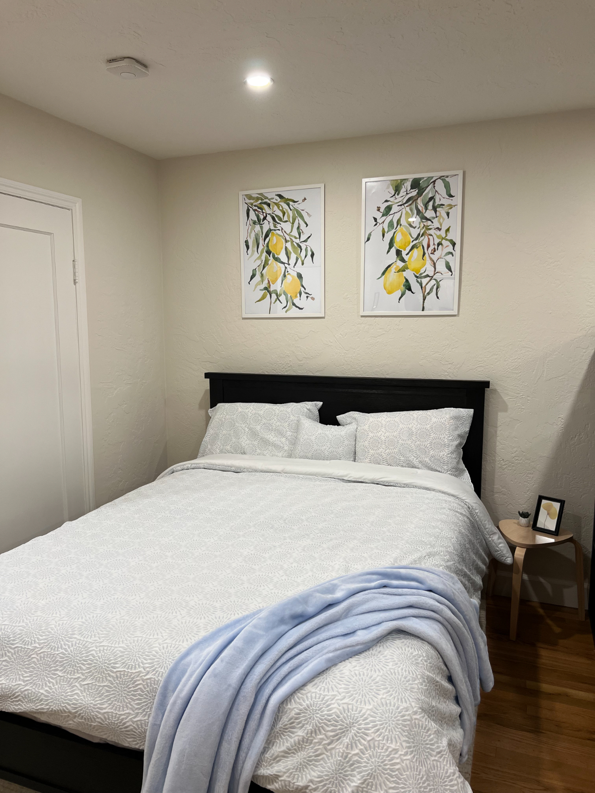 Modern Private In-Law Studio Apartment - Photo 5
