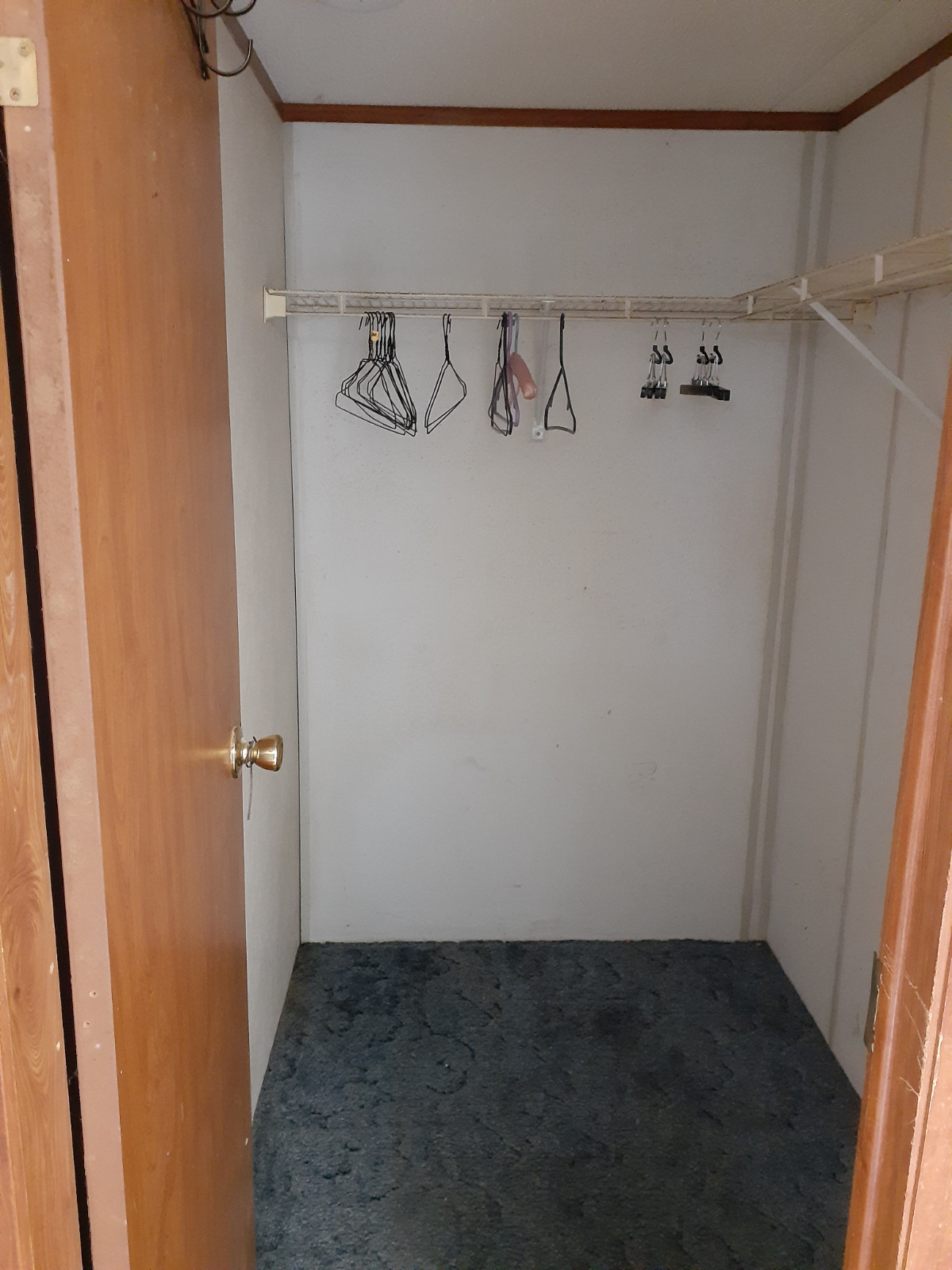 906 Maple Street - Private room/bath in shared house - Photo 3