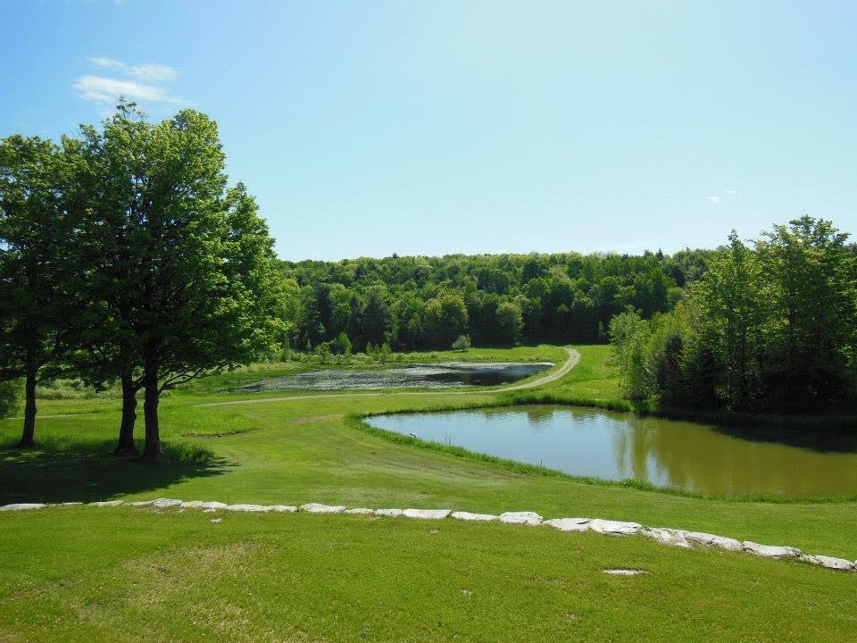 Beautiful Vermont Home in private setting on 300 acres - Photo 2