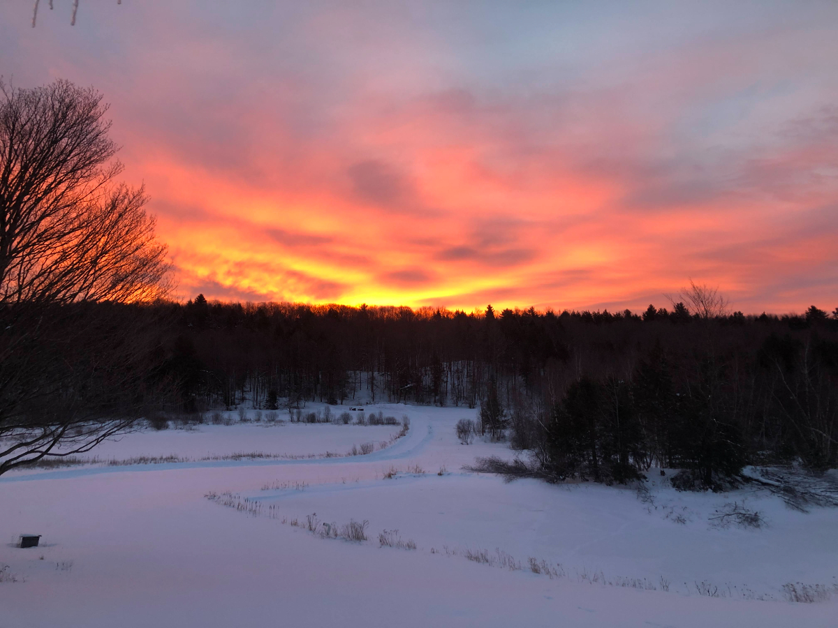 Beautiful Vermont Home in private setting on 300 acres - Photo 9