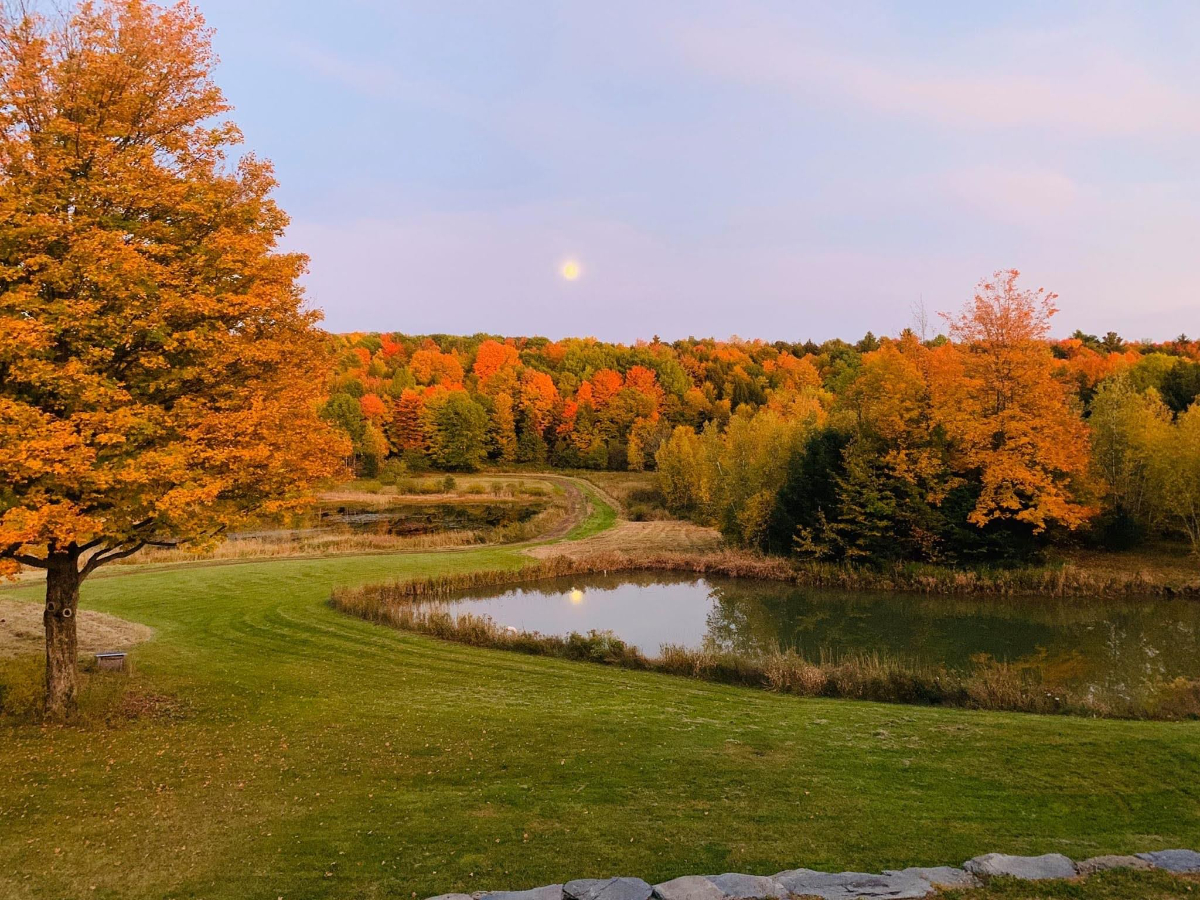 Beautiful Vermont Home in private setting on 300 acres - Photo 7