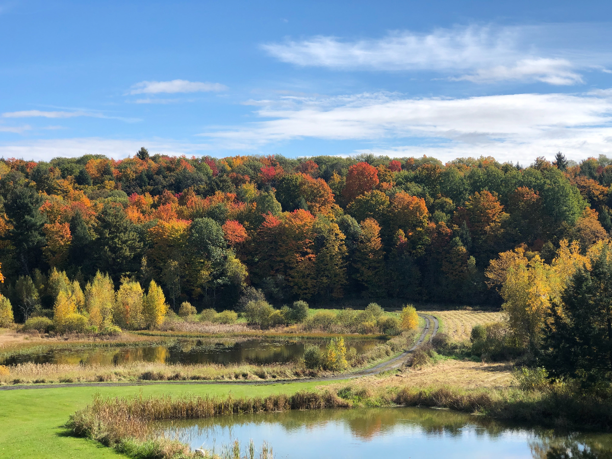 Beautiful Vermont Home in private setting on 300 acres - Photo 8